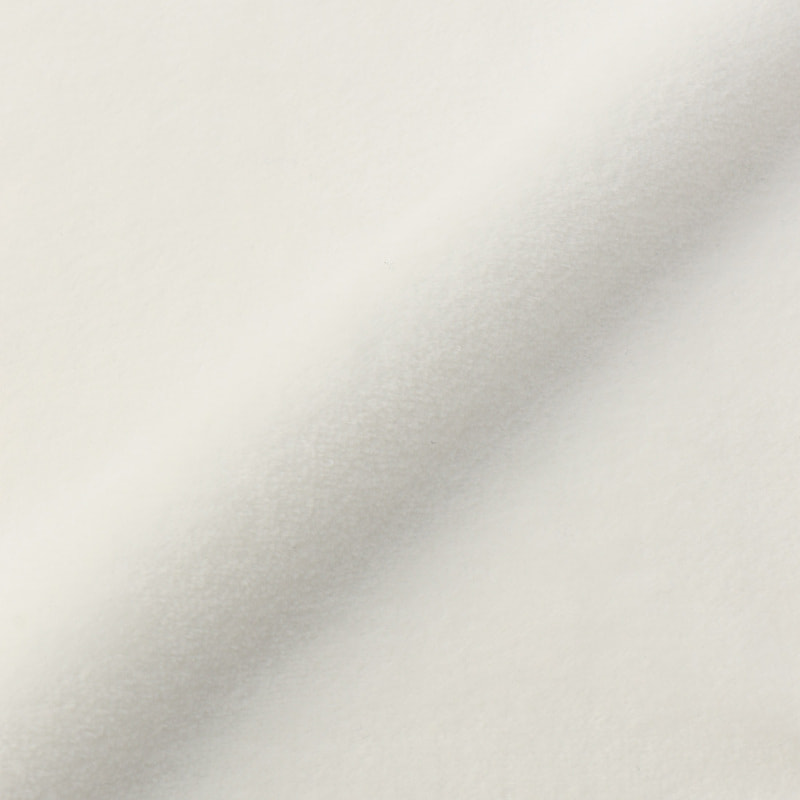 BARNEYS NEW YORK イニシャルレースタオルハンカチ “T" WHITE