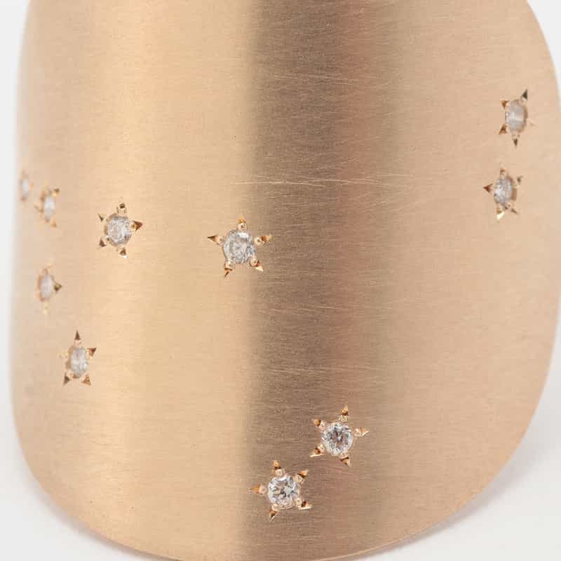 TALKATIVE 【オーダー品】リング　“やぎ座" （ダイヤモンド） NONE