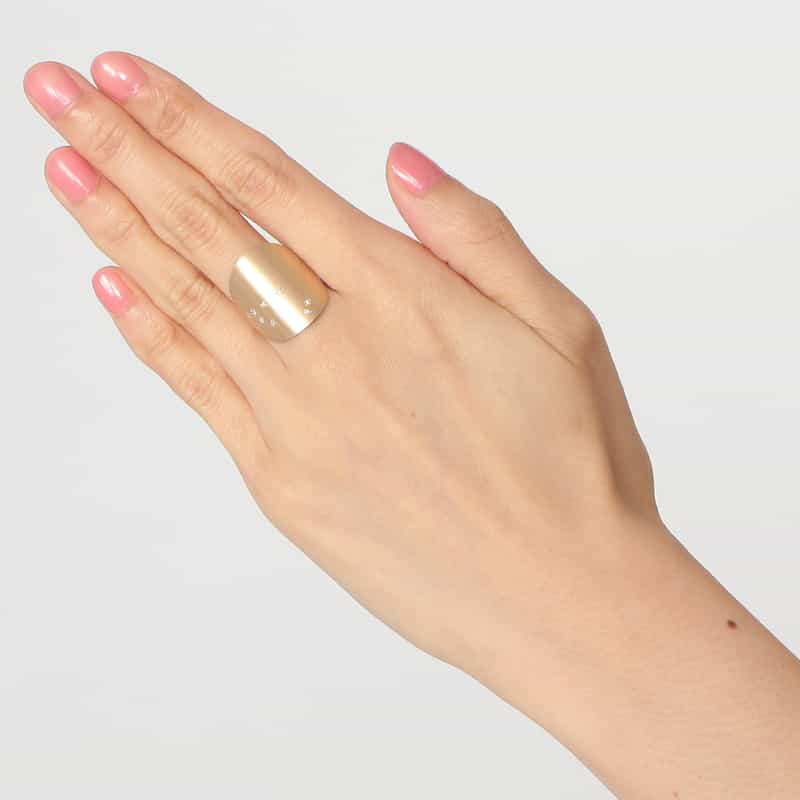 TALKATIVE 【オーダー品】リング　“やぎ座" （ダイヤモンド） NONE