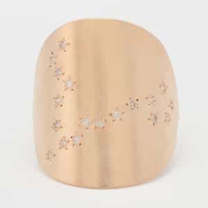 【オーダー品】リング “うお座" (ダイヤモンド)