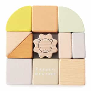 ライオンウッドブロックセット