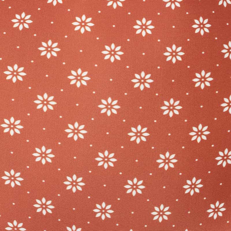 DAZE DAYZ ビキニショーツ BROWN