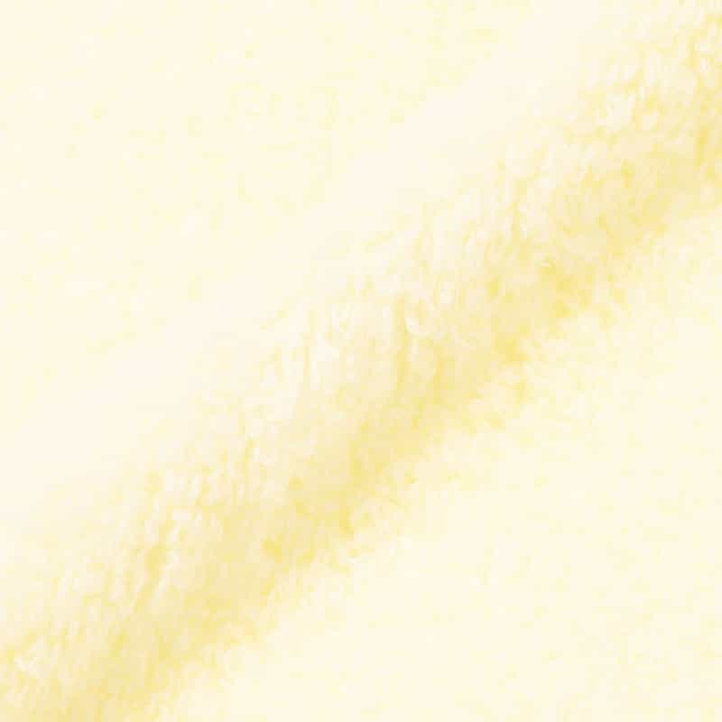 BARNEYS NEW YORK シェルステッチライオンブランケット LIGHT YELLOW