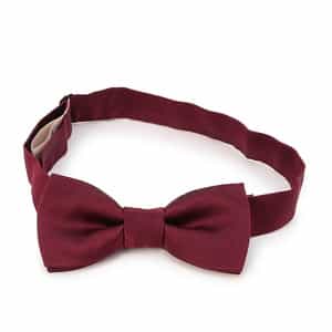 フォーマルボウタイ