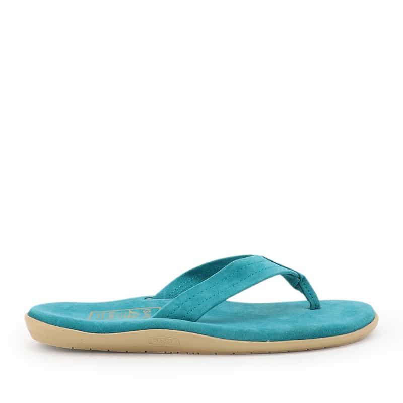 ISLAND SLIPPER ISLAND SLIPPER＜アイランドスリッパ＞トングサンダル "PT203" TURQUOISE