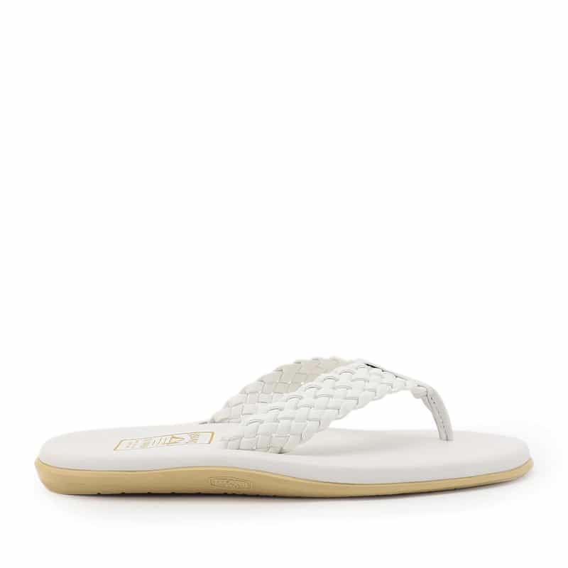 ISLAND SLIPPER ISLAND SLIPPER＜アイランドスリッパ＞トングサンダル "PT903W" WHITE