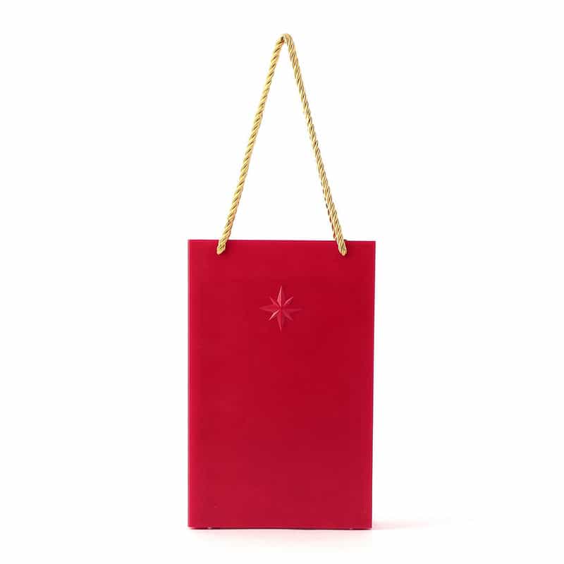 ハルモニア リキッドLED オブジェ ／ ギフトバッグサンタ NONE