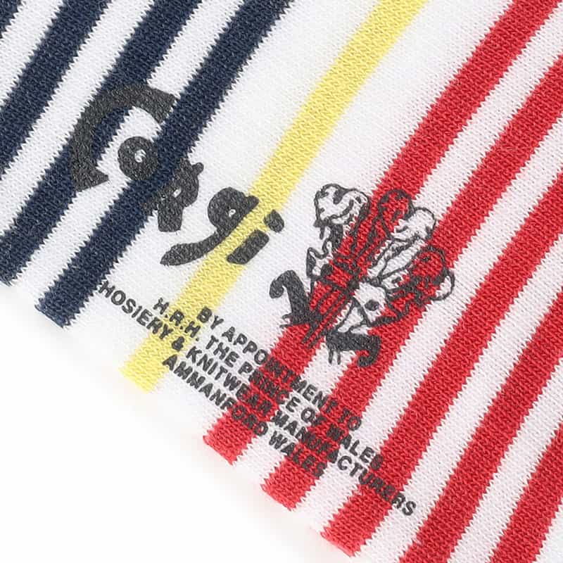 CORGI ソックス NAVY