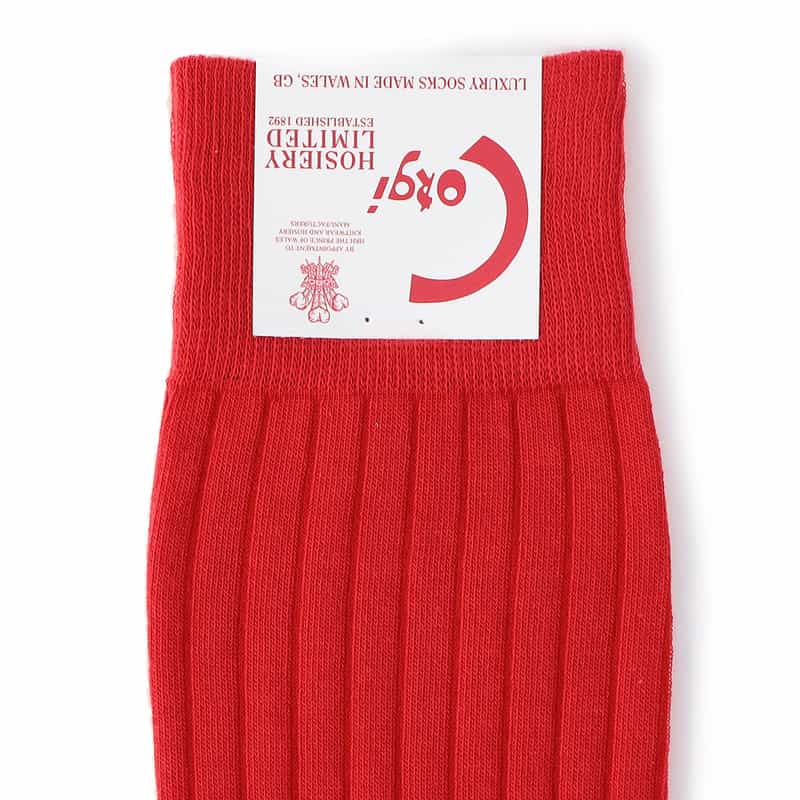 CORGI バーニーズ ニューヨーク限定ソックス RED