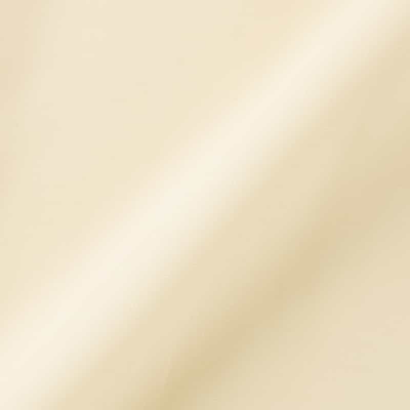 OVERCOAT OVERCOAT＜オーバーコート＞ウール バックサイドプリーツシャツ IVORY