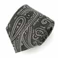 ペイズリー柄タイ