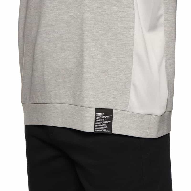 CITERA CITERA＜シテラ＞バーニーズ　ニューヨーク限定コンビネーションカットソー GRAY