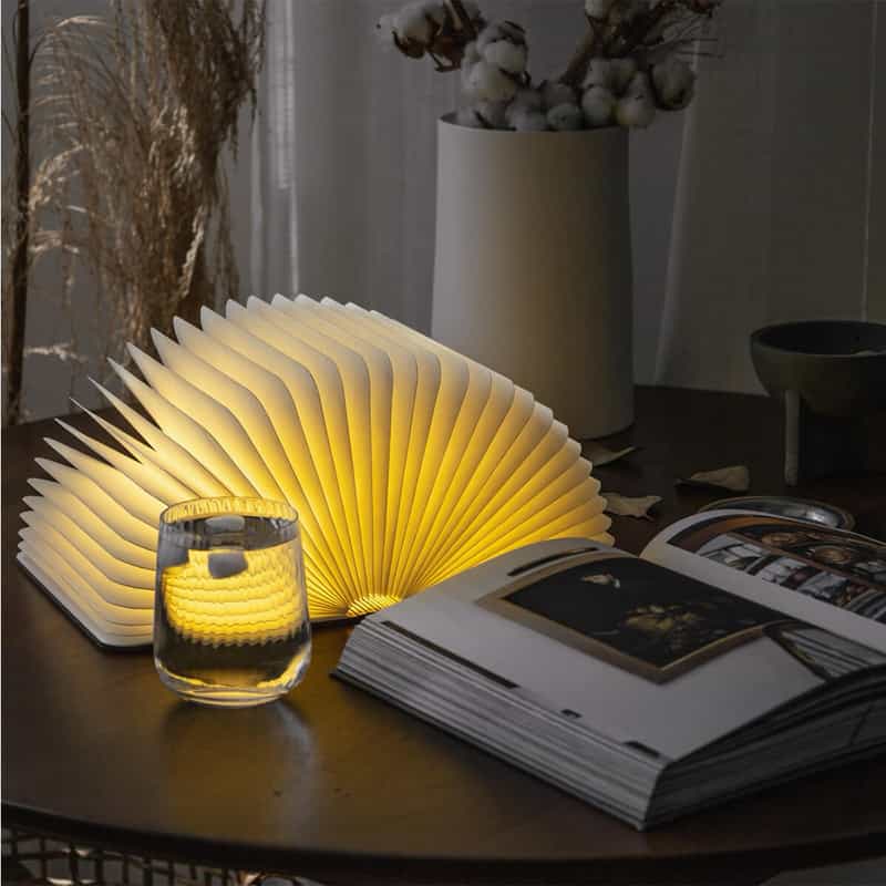 LUMIO LUMIO＜ルミオ＞ブック型ライト "LITO CLASSIC" （MAPLE） LT BROWN