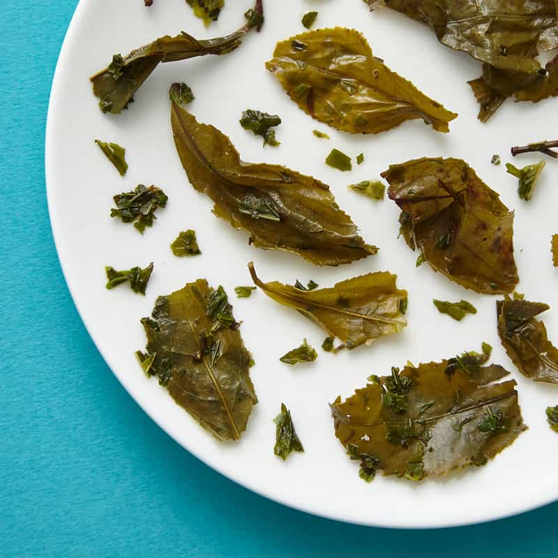 BREW TEA BREW TEA(ブリューティーティーバッグ “MOROCCAN MINT“ (15袋入り) NONE(0000)