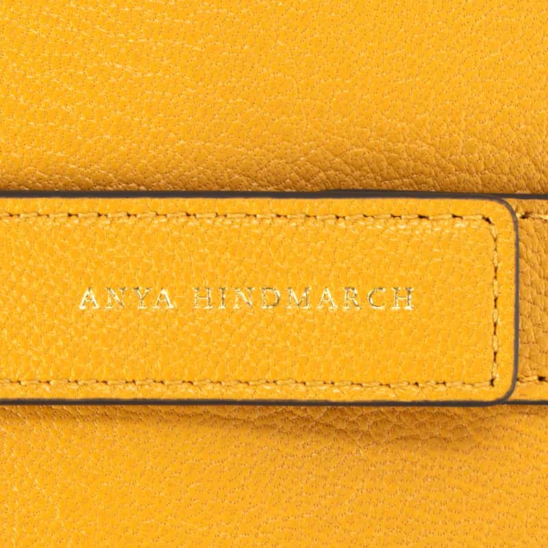 ANYA HINDMARCH ANYA HINDMARCH＜アニヤ ハインドマーチ＞ サングラスホルダー YELLOW