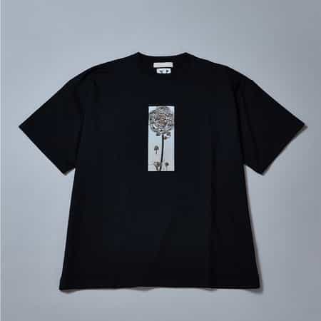 27,500円 未使用 バーニーズニューヨーク エルブラバド ストーン Tシャツ バーニーズ ニューヨーク限定 刺繍入りプリントTシャツ(2245100