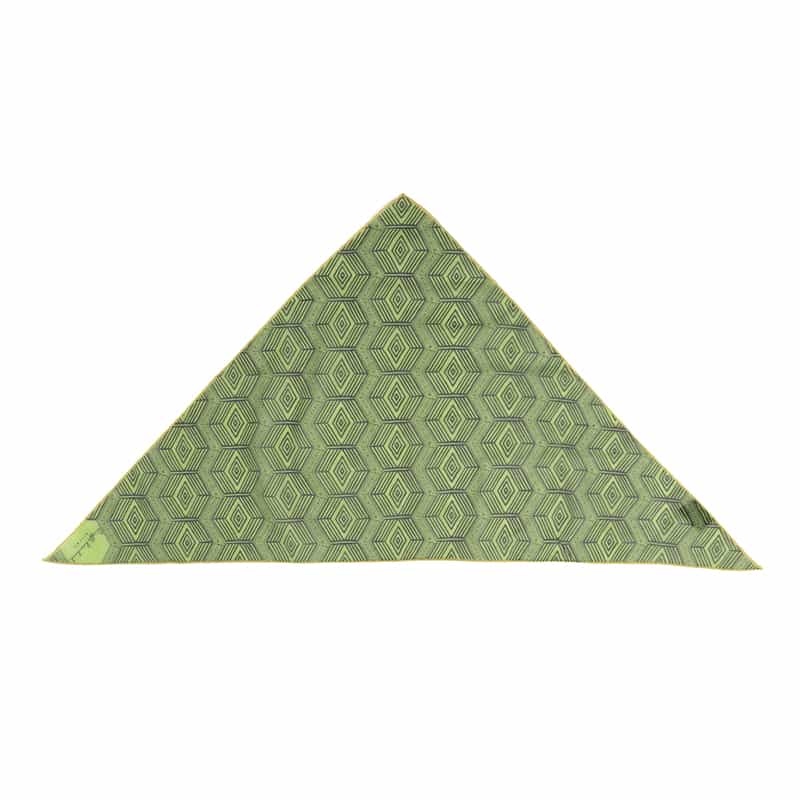 DIEFFE KINLOCH DIEFFE KINLOCH＜ディエッフェ キンロック＞ ネッカチーフ GREEN