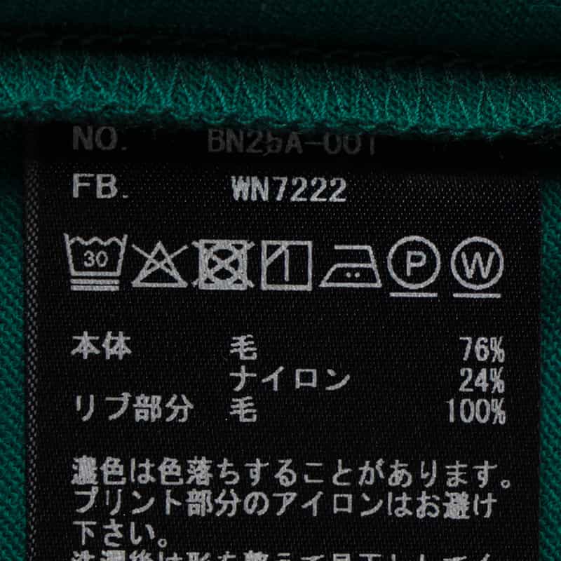 KANEMASA PHIL. KANEMASA PHIL.＜カネマサフィル＞ バーニーズ　ニューヨーク限定 Tシャツ DARK GREEN