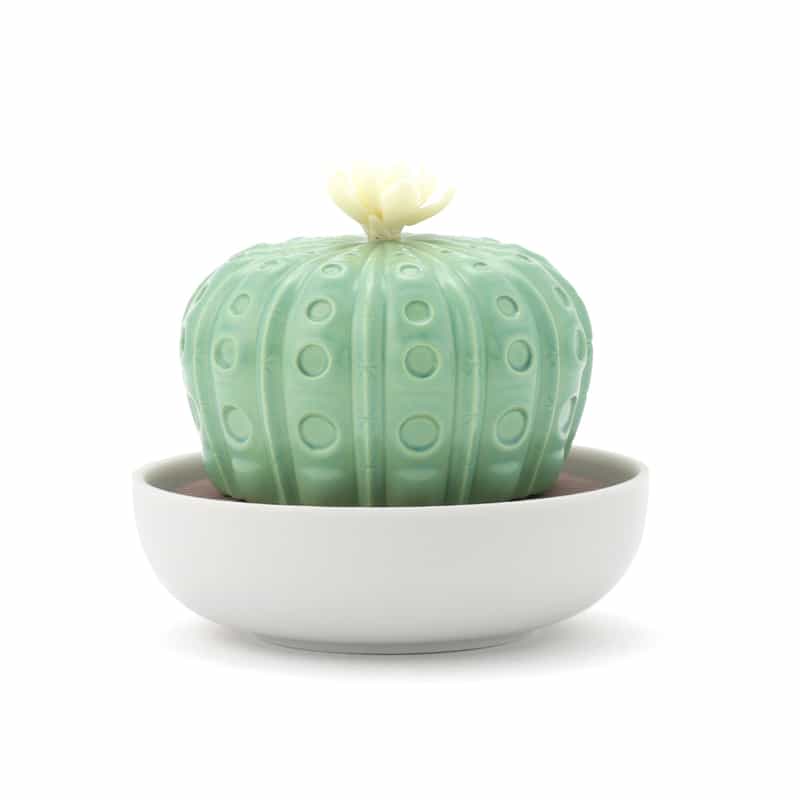 LLADRO LLADRO ＜リヤドロ＞ リキッドディフューザー “アストロフィツム バレンシアの太陽“ LIGHT GREEN