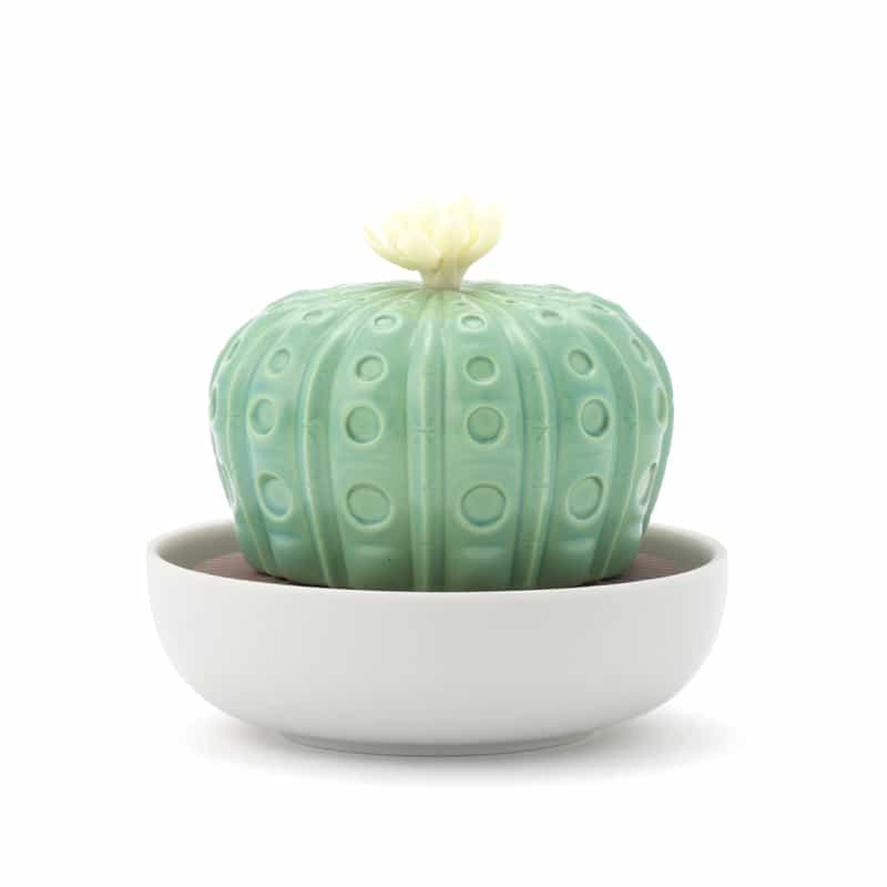 LLADRO LLADRO ＜リヤドロ＞ リキッドディフューザー “アストロフィツム バレンシアの太陽“ LIGHT GREEN