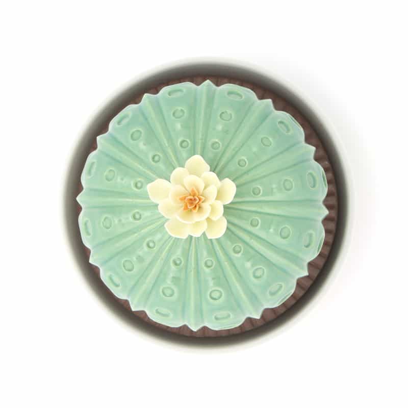 LLADRO LLADRO ＜リヤドロ＞ リキッドディフューザー “アストロフィツム バレンシアの太陽“ LIGHT GREEN