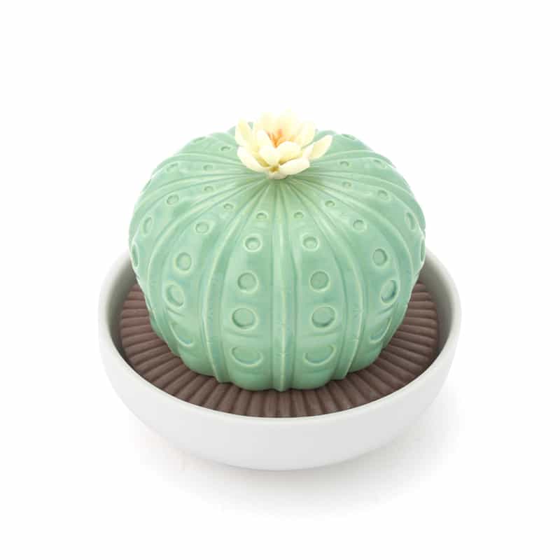 LLADRO LLADRO ＜リヤドロ＞ リキッドディフューザー “アストロフィツム バレンシアの太陽“ LIGHT GREEN