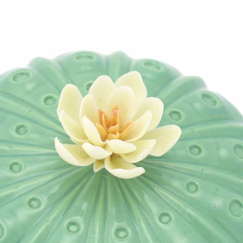 LLADRO LLADRO ＜リヤドロ＞ リキッドディフューザー “アストロフィツム バレンシアの太陽“ LIGHT GREEN