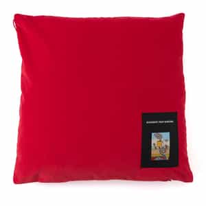 KVADRAT／RAF SIMONS＜クヴァドラ／ラフ シモンズ＞ ベルベットクッション（45cm×45cm）