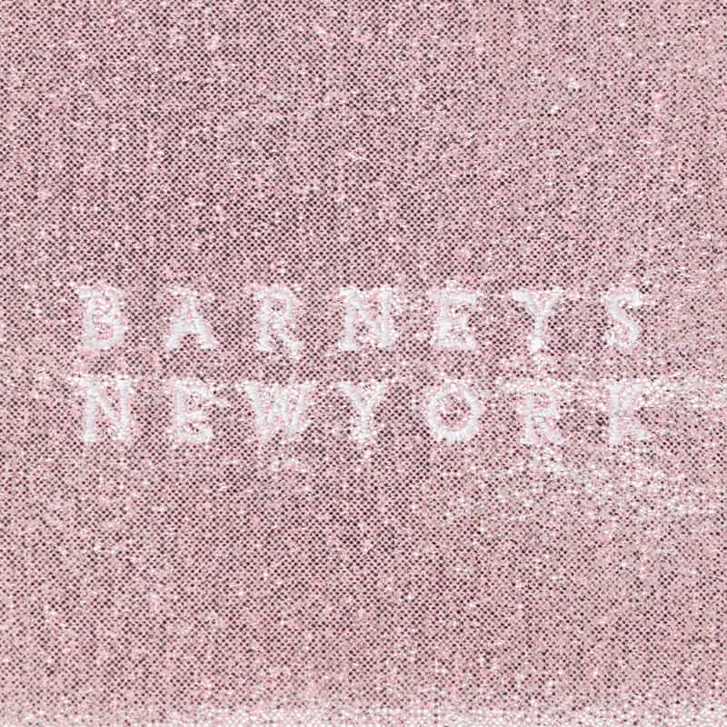 BARNEYS NEW YORK チョコレート入りポーチ (ラメ柄／PINK) LT PINK
