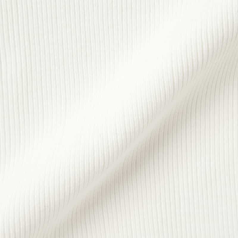 AURALEE AURALEE＜オーラリー＞ コットンハイゲージリブニットTシャツ WHITE