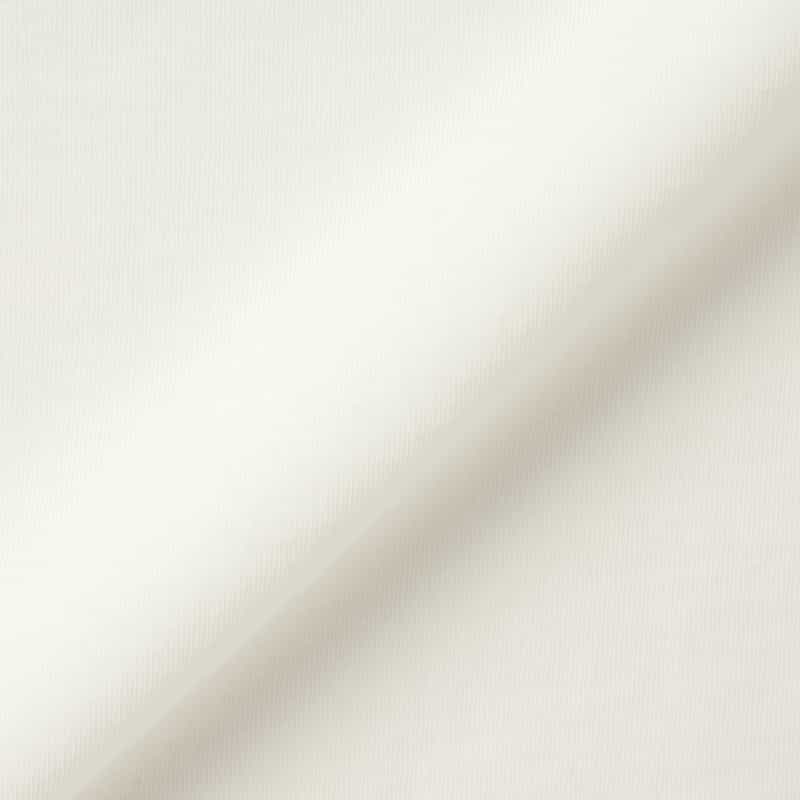 AURALEE AURALEE＜オーラリー＞ コットン ボートネックカットソー WHITE