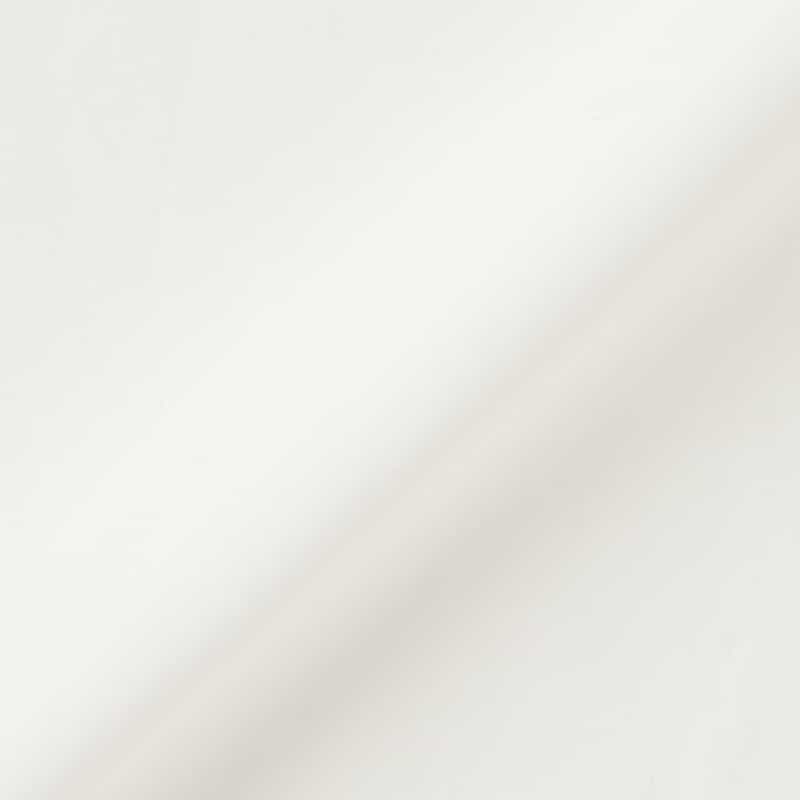 AURALEE AURALEE＜オーラリー＞ フィンクスコットンツイルシャツ WHITE