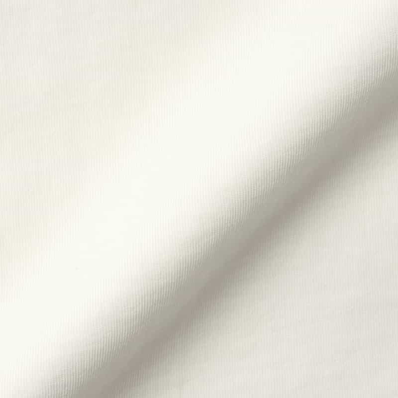 AURALEE AURALEE ＜オーラリー＞ コットンジャージーカットソー WHITE