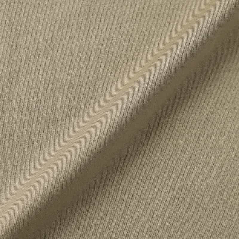 PIPPIOLINO PIPPIOLINO＜ピッピオリーノ＞ バーニーズ　ニューヨーク限定 コットンニットTシャツ GREIGE