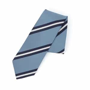レジメンタル柄タイ