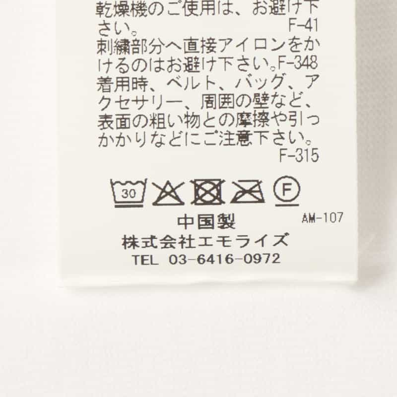 THE NERDYS THE NERDYS ＜ザ ナーディーズ＞ ＜ブリジット タナカ＞コラボレート オーガンジーTシャツ WHITE