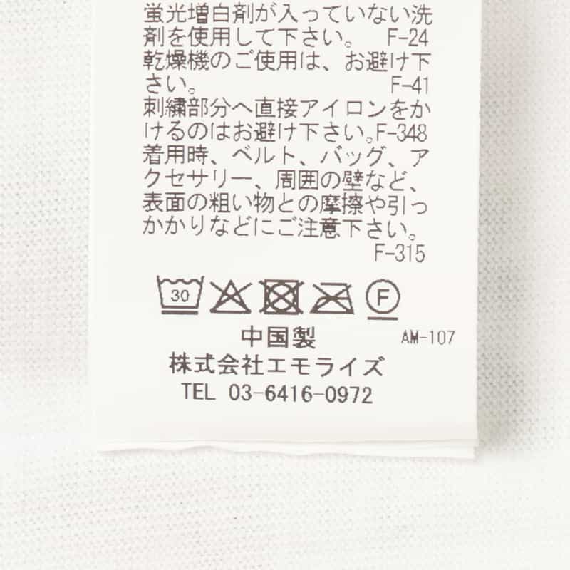 THE NERDYS THE NERDYS ＜ザ ナーディーズ＞ ＜ブリジット タナカ＞コラボレート オーガンジーTシャツ WHITE