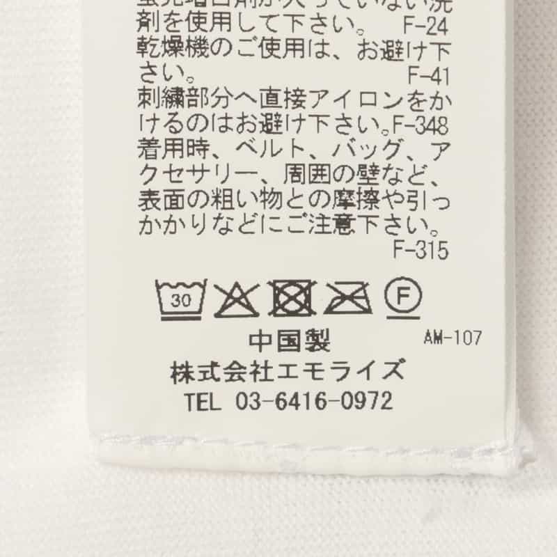 THE NERDYS THE NERDYS ＜ザ ナーディーズ＞ ＜ブリジット タナカ＞コラボレート オーガンジーTシャツ WHITE