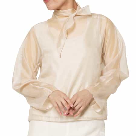 ATELIER EDITION ＜アトリエ エディション＞シアー素材 ボウタイブラウス