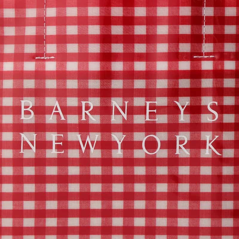 BARNEYS NEW YORK ロゴ入りPVCトートバッグ／ギンガムチェック柄（L） RED