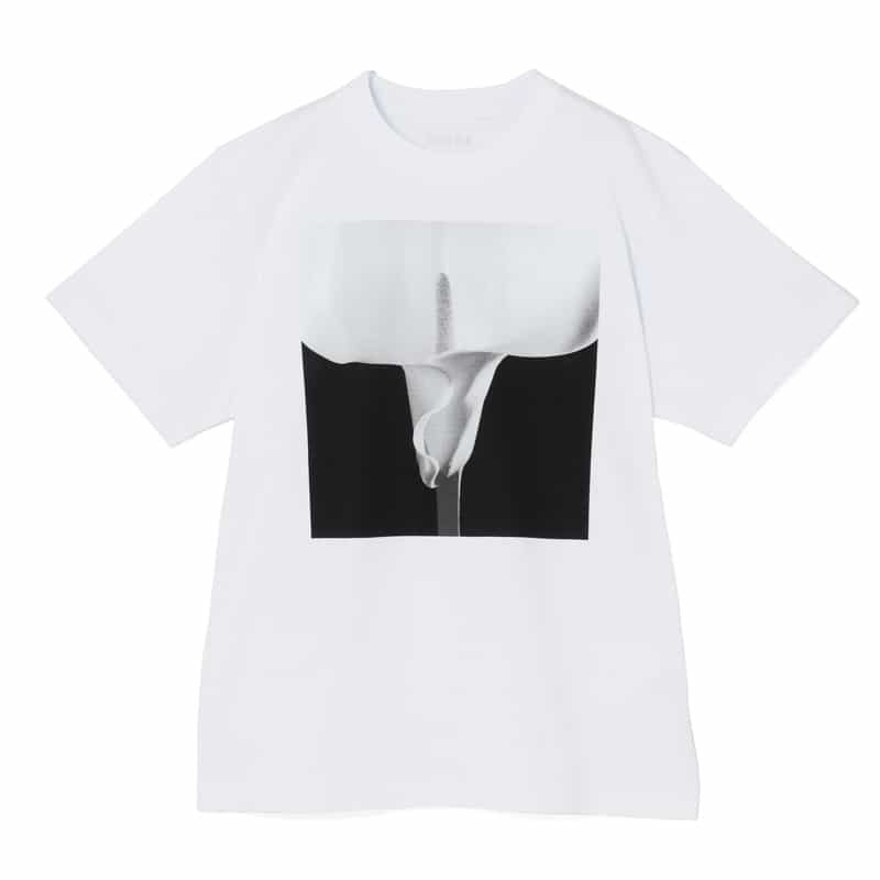 SACAI ＜サカイ＞ プリントTシャツ