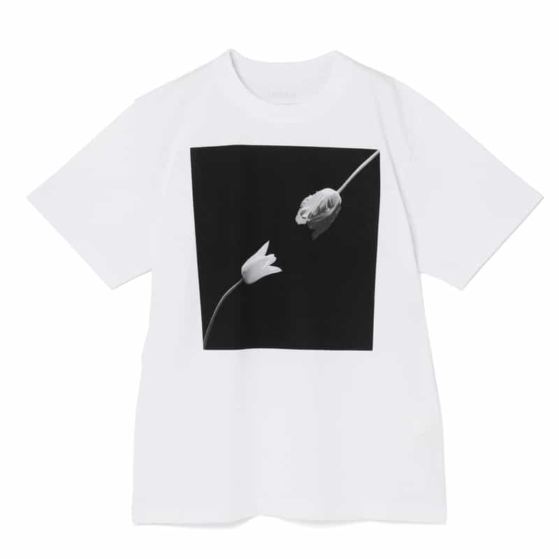 SACAI ＜サカイ＞ プリントTシャツ