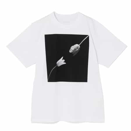 SACAI ＜サカイ＞ プリントTシャツ