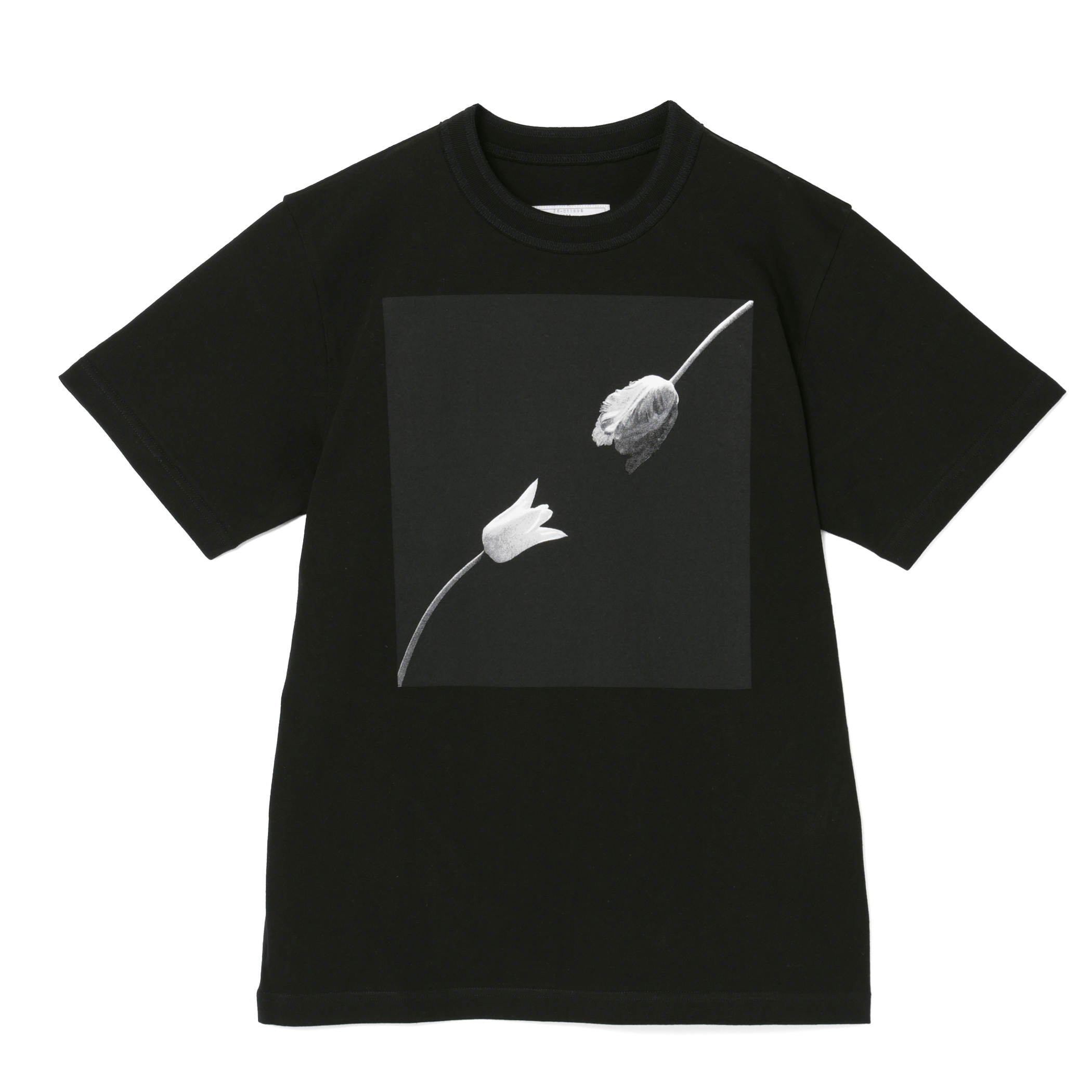 SACAI ＜サカイ＞ プリントTシャツ