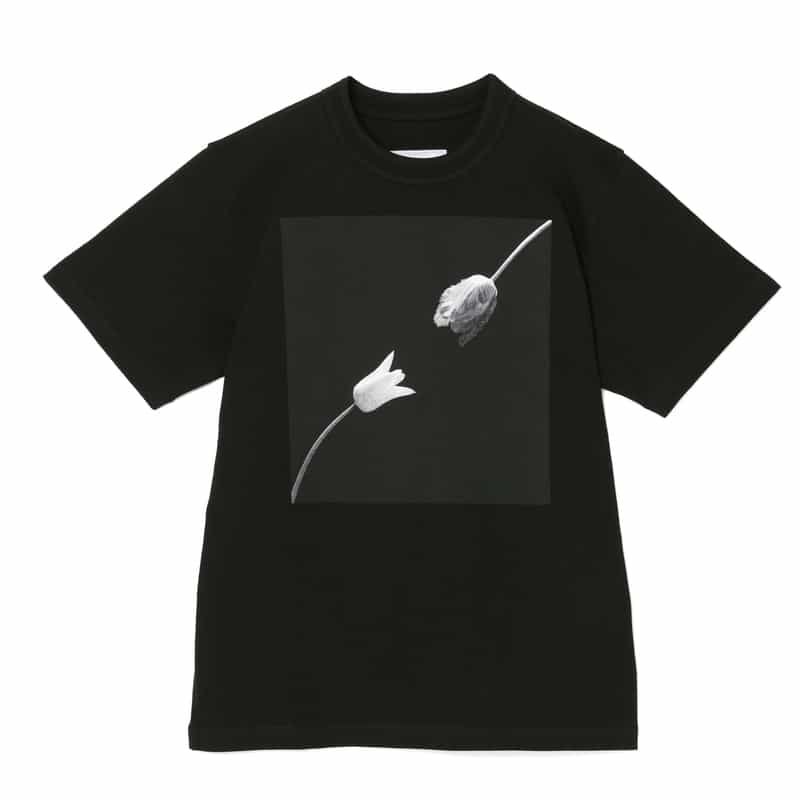 SACAI ＜サカイ＞ プリントTシャツ