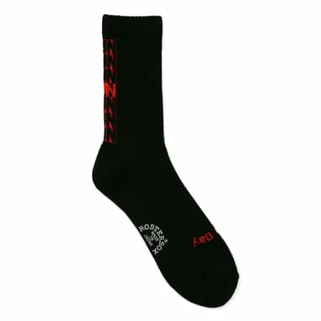 ROSTERSOX＜ロスターソックス＞ ソックス（ホームラン）