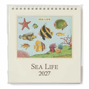 CAVALLINI ＜カヴァリーニ＞ 2027年デスクカレンダー “SEA LIFE“