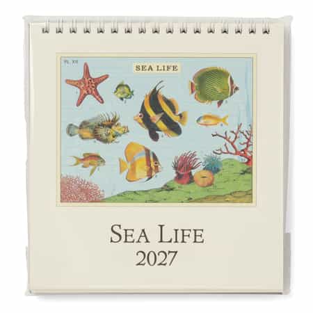 CAVALLINI ＜カヴァリーニ＞ 2027年デスクカレンダー “SEA LIFE“