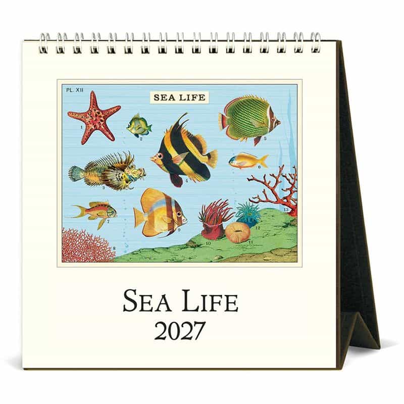 CAVALLINI CAVALLINI ＜カヴァリーニ＞ 2027年デスクカレンダー “SEA LIFE“ NONE
