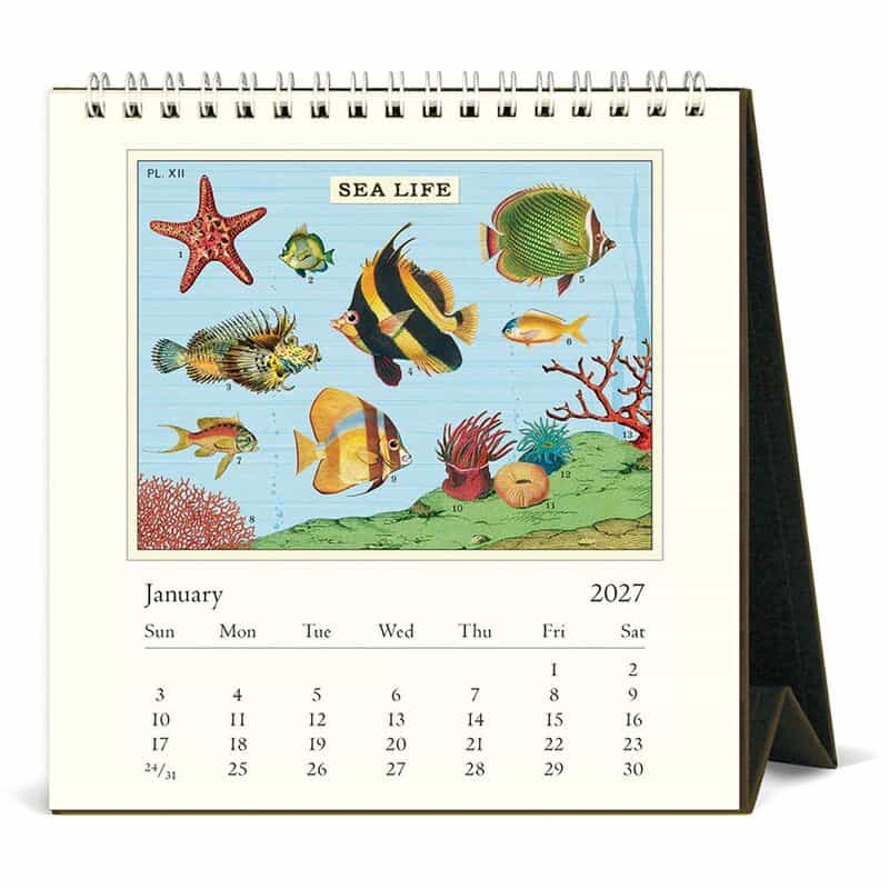 CAVALLINI CAVALLINI ＜カヴァリーニ＞ 2027年デスクカレンダー “SEA LIFE“ NONE